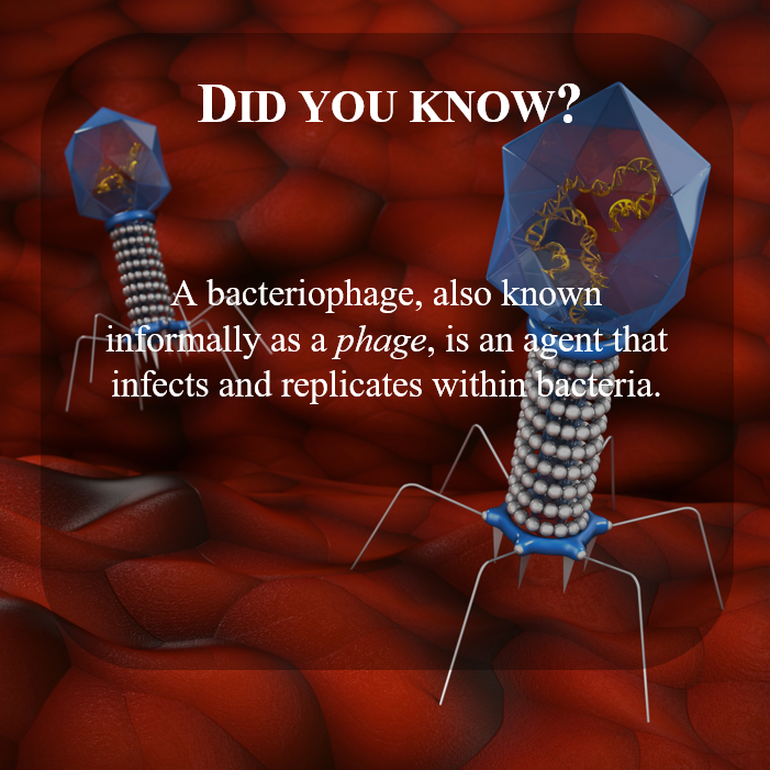 PhageFireEu's tweet photo. https://t.co/iG9CiFvdRO