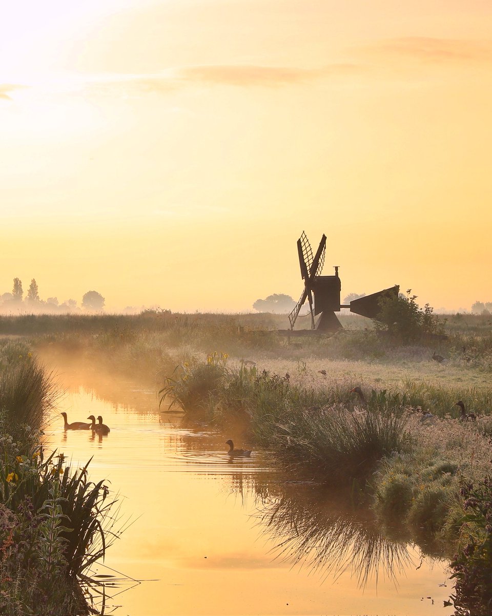 Goedemorgen! #twitterfotochallenge21 #landschap een lekker momentje om de hoek. Landschap op z'n Hollands. Fijn weekend! 💕

#landscape #photography #StormHour #photooftheday