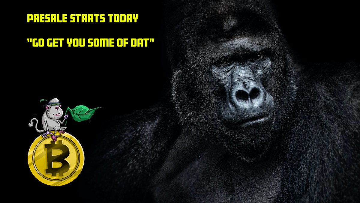 PreSale about start.... dontapethis.com 
#Presale #cryptolaunch #dat #datbtc #BTC #dontapethis