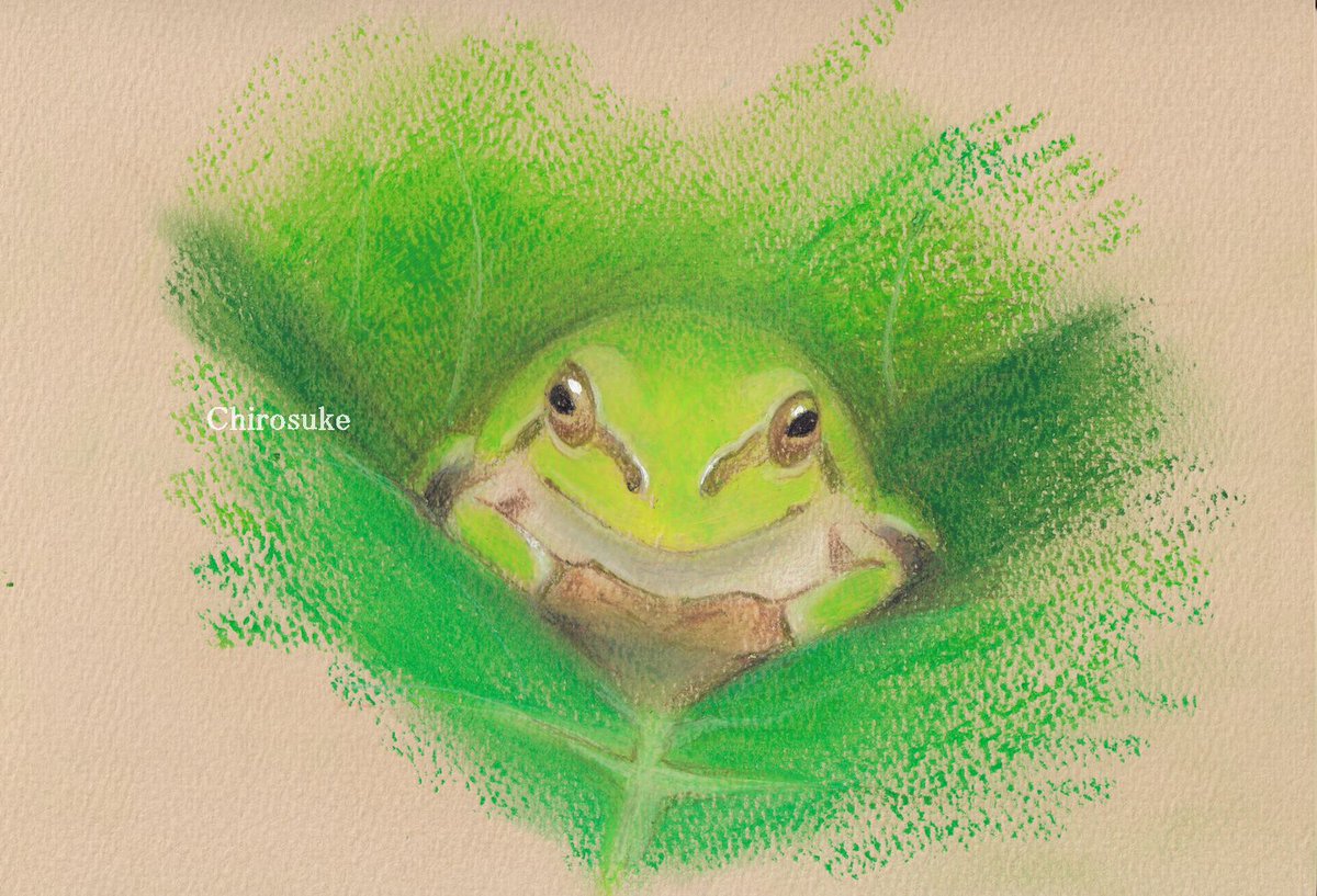 no humans solo grass frog pokemon (creature) twitter username looking at viewer  illustration images