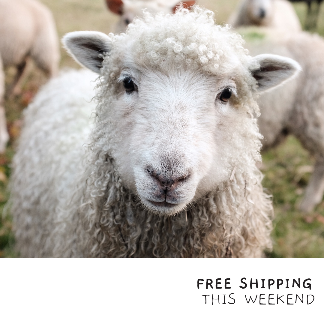 Kelly & Adam | The Wilder Route tweet media