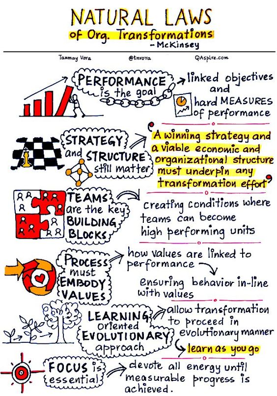 alcott_global's tweet image. #OrganizationTransformation Natural Laws
▶️ #performance and #measurable outcomes
▶️ #strategy and #structure
#teams
▶️ #process &amp;amp; #values
▶️ #learning &amp;amp; #focus

Another great sketch by @tnvora based on @McKinsey