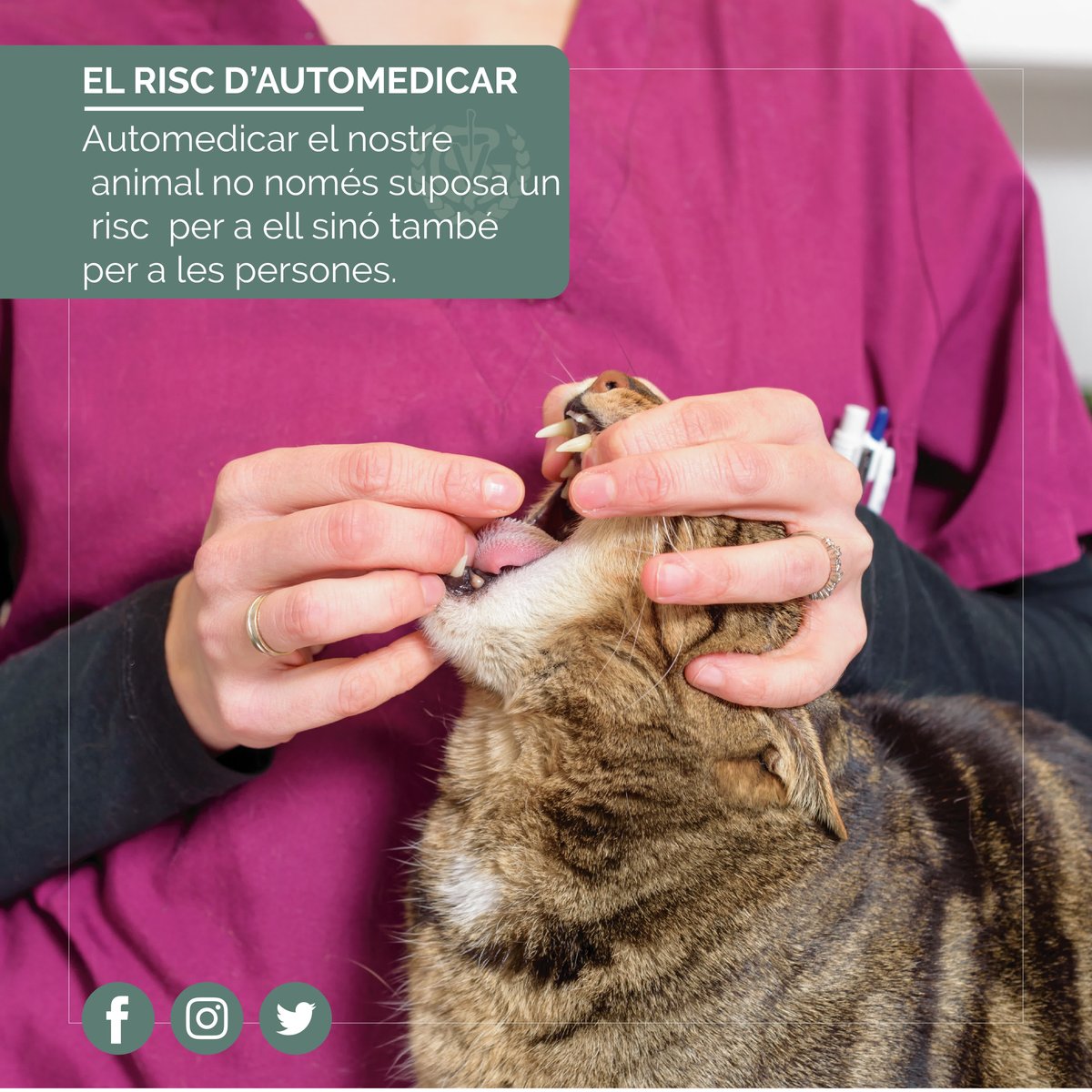 ColVetGi's tweet photo. Automedicar als nostres animals ⚠️, posa en perill la seva vida i pot provocar efectes col·laterals 😕, com que l'agent infecciós desenvolupi resistència i fins i tot que arribi a afectar a les persones.

#Colvetgi #Veterinaris https://t.co/xZmzl64Mlo