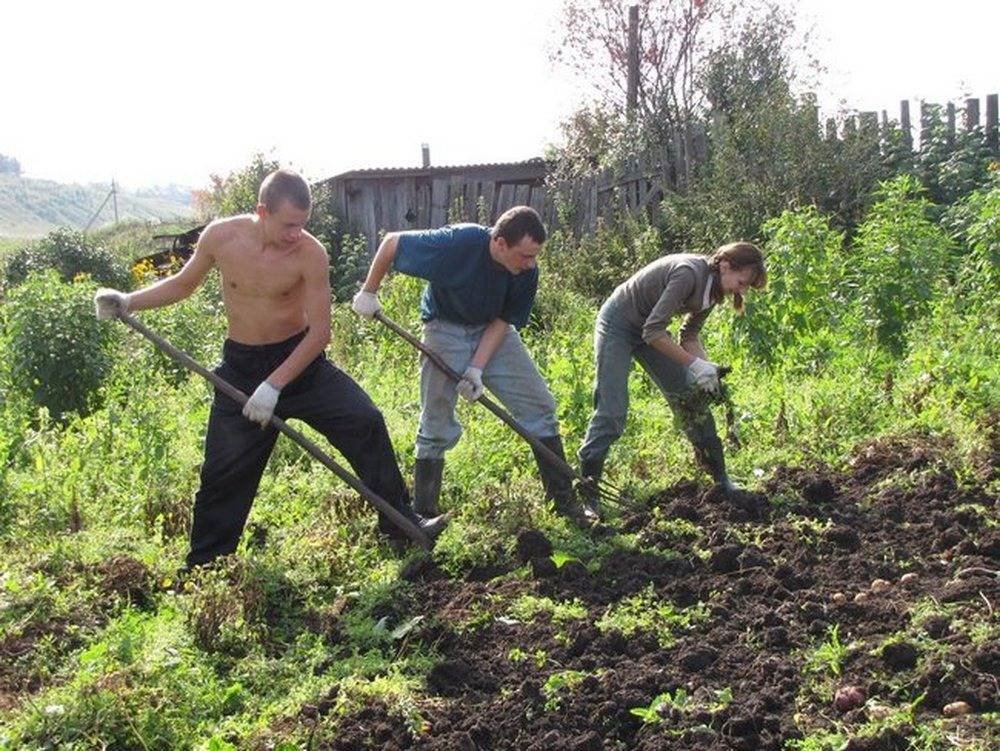 мама: приезжай домой, отдохнёшь, на природу съездим, красота же
отдых и природа:
