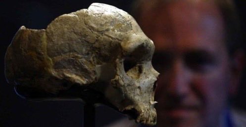 #FossilFriday This Neanderthal woman’s cranium from Forbes’ Quarry was discovered in 1848 and is on display ⁦<a href="/NHM_London/">Natural History Museum</a>⁩. Her DNA has been analysed pnas.org/content/116/31…