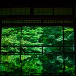 修学旅行シーズンもいいけど？夏の京都の濃緑がいい!