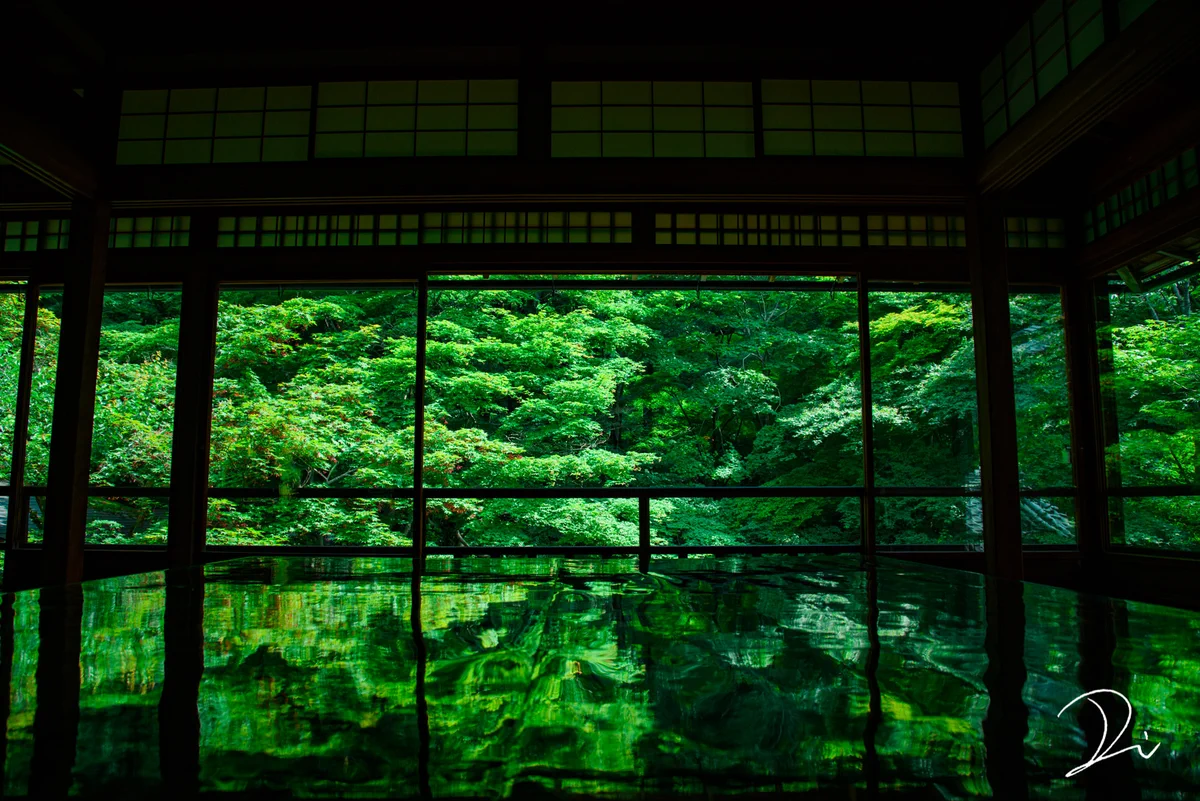 修学旅行シーズンもいいけど？夏の京都の濃緑がいい！