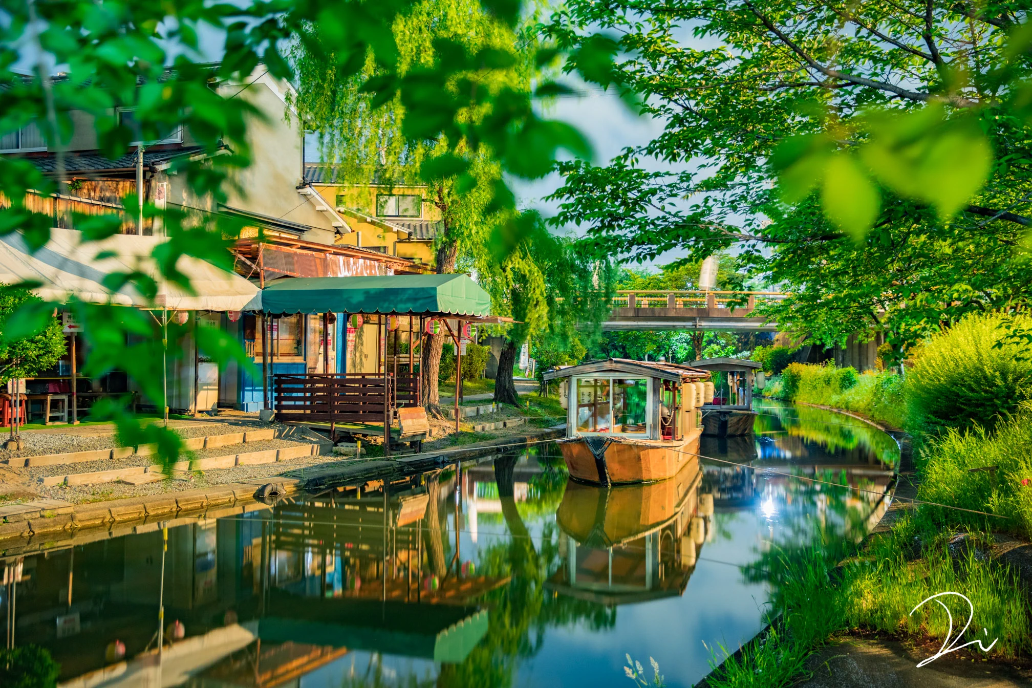 修学旅行シーズンもいいけど？夏の京都の濃緑がいい！