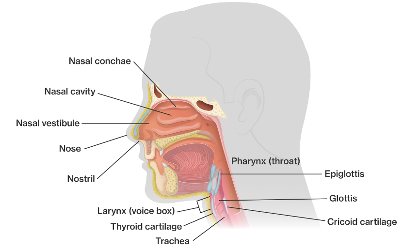 International Life Saving Medical Committee on Twitter "(2/18