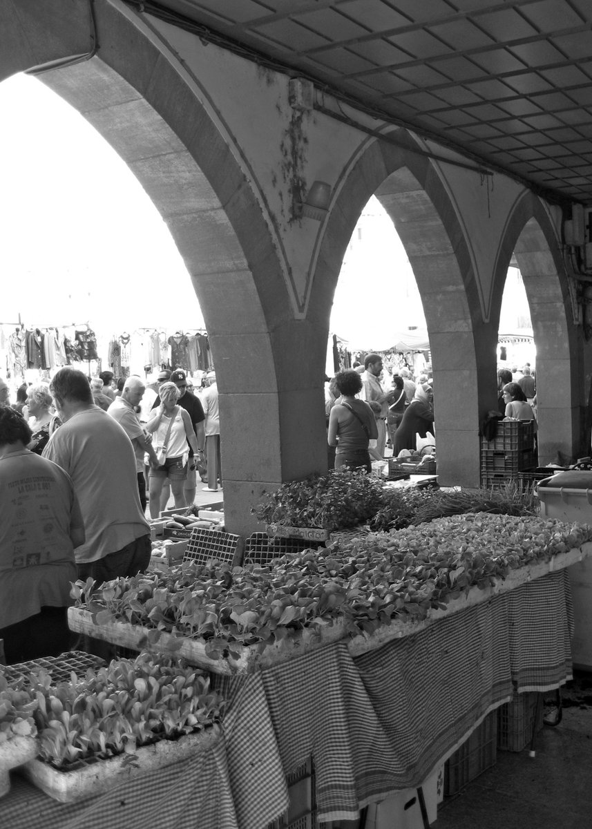RosaVaz42173347's tweet photo. Vic, Catalunya. Ph. Andrea Parga, 2011
@andreaparga7
#street #markets #freshmarkets #streetmarkets #vic #catalunya #spain #monochromephoto #bn #blackandwhite #blackandwhitephotography #photography #photos #city #calle #mercados #airelibre #verano #fotografía #fotografía #ciudad https://t.co/RO31Nm779K