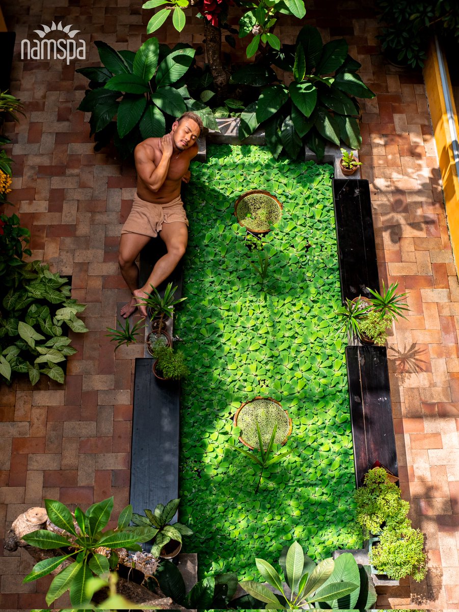 Nấm Spa tweet media