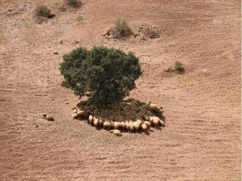 Armagann1905's tweet image. Bazen bir fotoğraf bir çok şeyi ifade eder...

#OrospiCocukları
#istifa
#PrayForTurkey