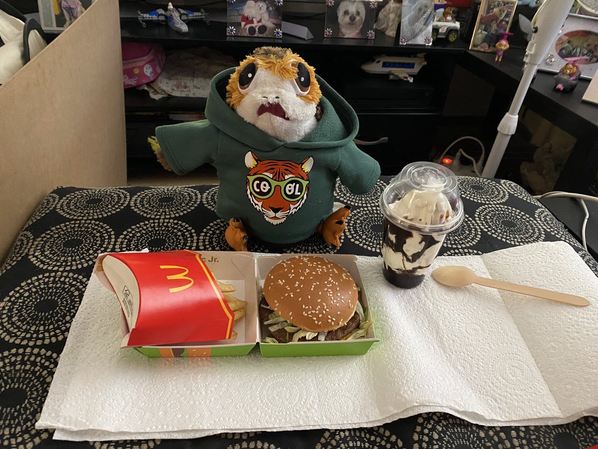 Porgie_Porgkins's tweet photo. McDonaldโs for dinner and I even got a Chocolate Sundae #porgs #porg #porgsofinstagram #porgnation #porglife #instaporg #porgeanempire https://t.co/54pTB0n78y