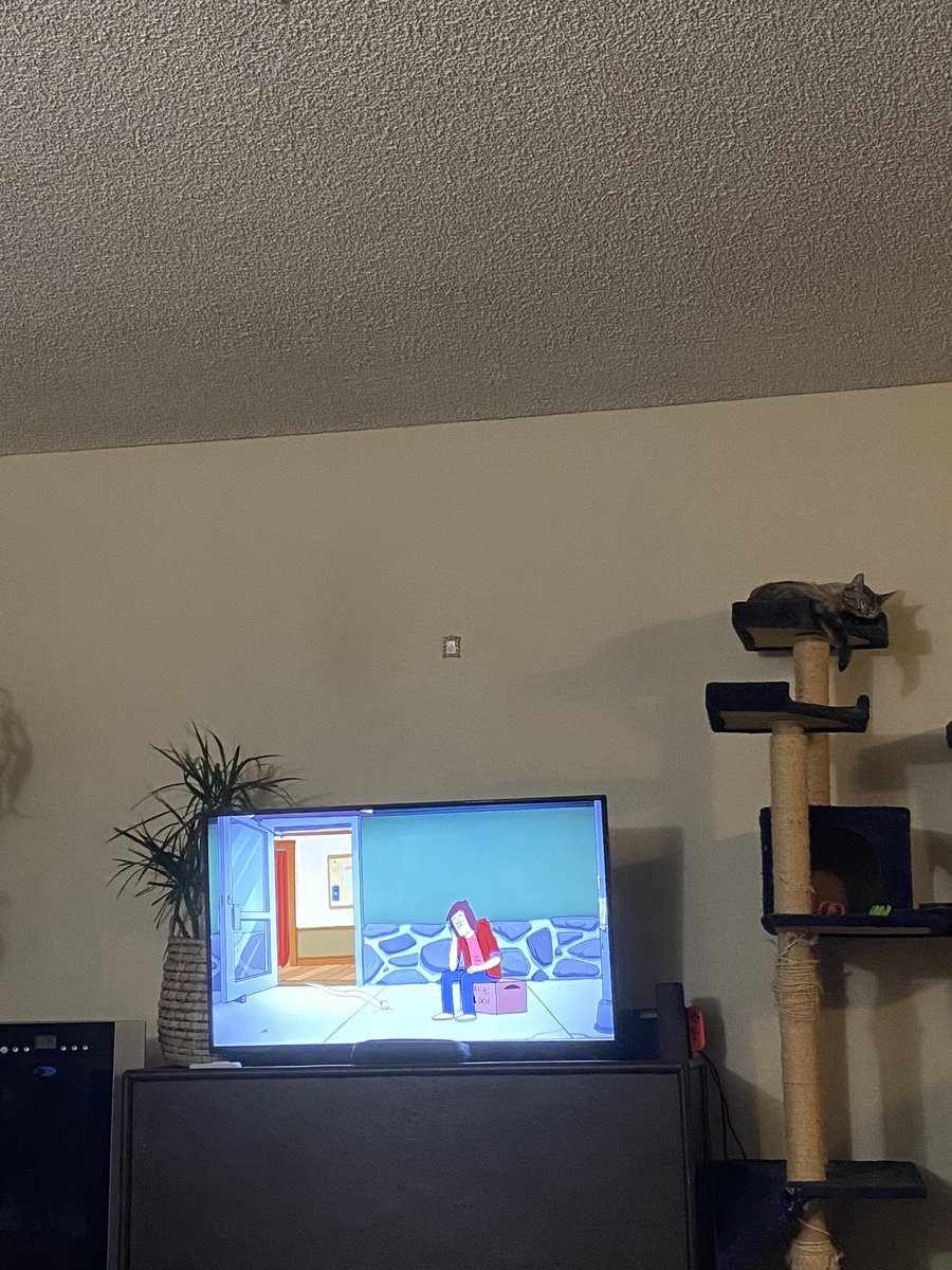 sharpnessss's tweet image. decorating on a budget ✨