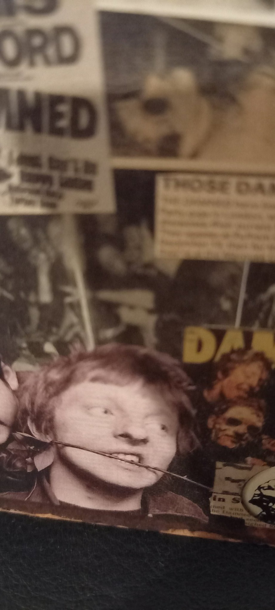 Happy birthday to Christopher Millar aka Rat Scabies the drummer for THE DAMNED. 