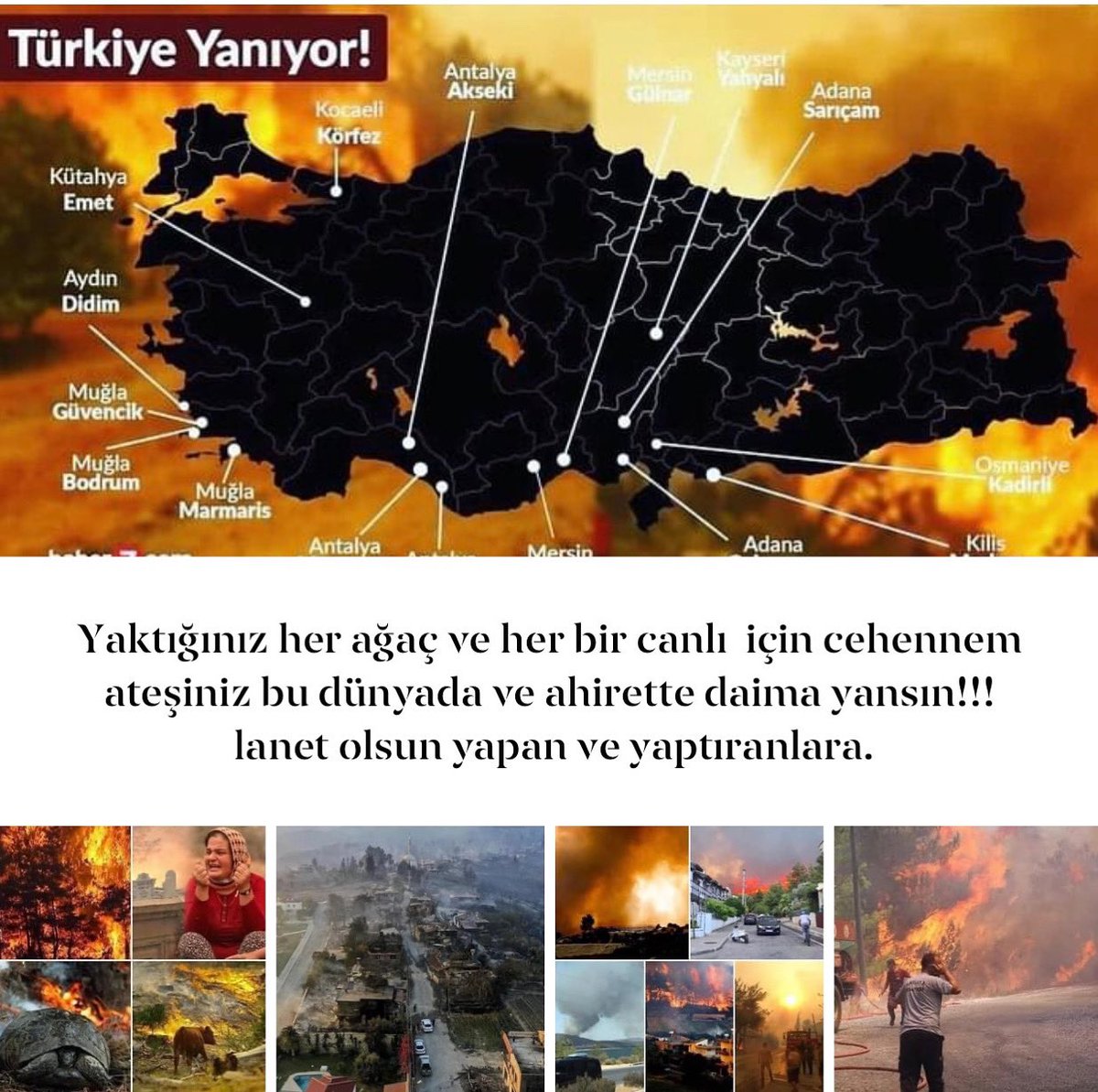 TUDİFED (@tudifed) on Twitter photo 