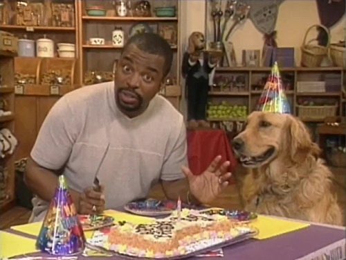 NetflixDogs tweet media