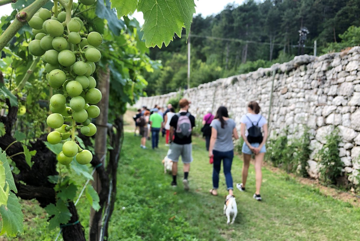 Ecco la notizia che stavate aspettando: è venerdì!🤩
Il nostro consiglio?📝per degustare vini e distillati locali cliccate qui per scoprire tutte le cantine e distillerie aperte questo weekend lungo #stradavinotrentino🍇👩🏻‍🌾🍷🥃🍾

Clicca qui per scoprirle▶️bit.ly/WkndCantina