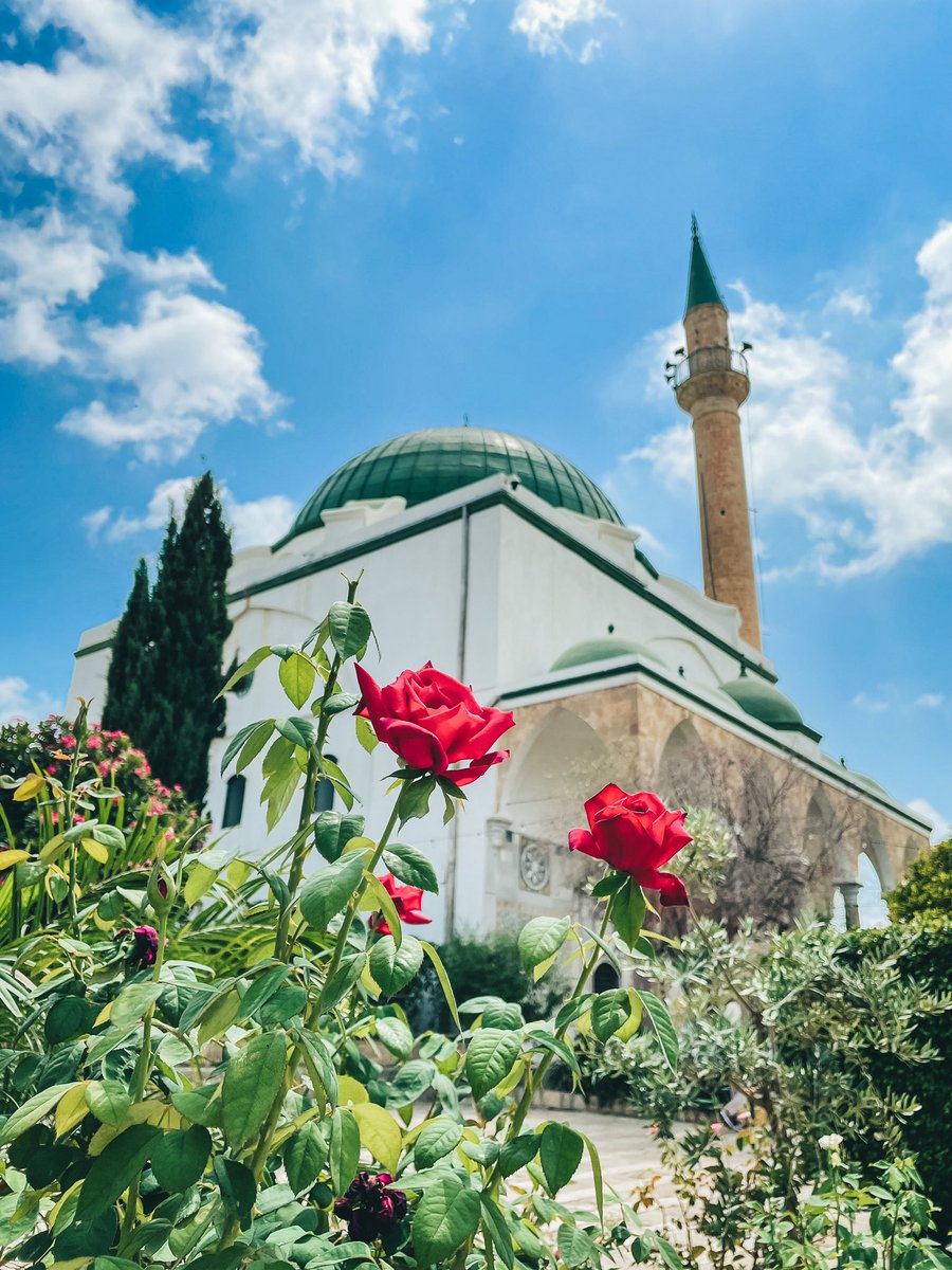 📍جامع الجزار- عكا.