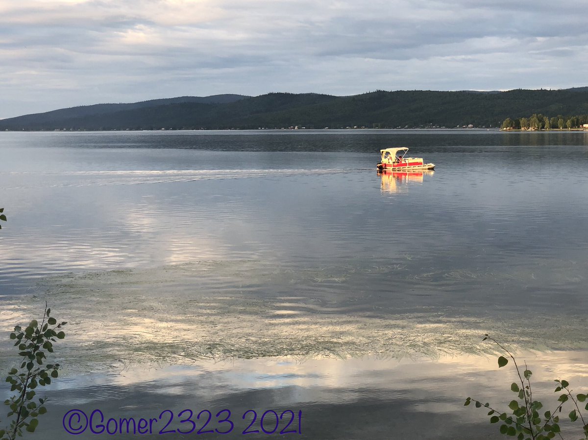 gomer2323's tweet photo. #HardingLake #Alaska https://t.co/QIZimN2o2e