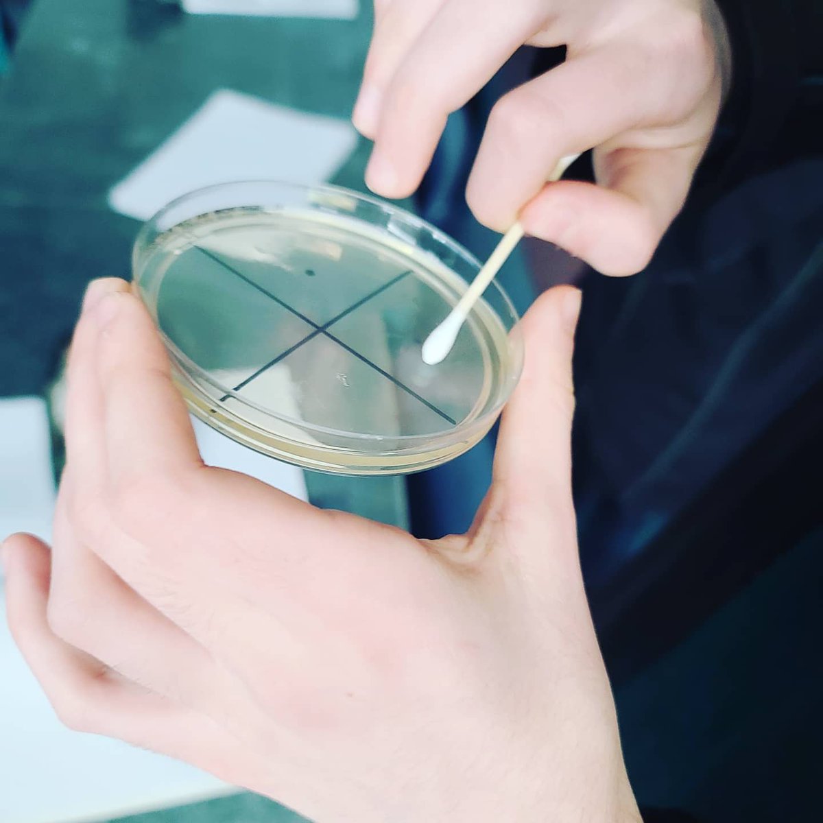 Bec_NZ1's tweet photo. Swabbing areas within the class to find which areas will have the most different type of microbes. A lot or fun with these junior scientists! https://t.co/cEybEwFaLh