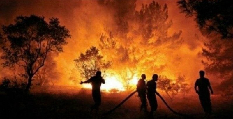 i_hmzy's tweet photo. All forested areas are under fire. Animales are dying 💔
Please pray for Turkey... 😢🇹🇷 #evimizyanıyor #prayforturkey #turkeyburning #türkiyeyanıyor #turkeyisburning #prayers #turkeyisnotalone #wildlife #climatechange #saveforest #turkeyunderfire #forestfire https://t.co/uh7yKUYTa5