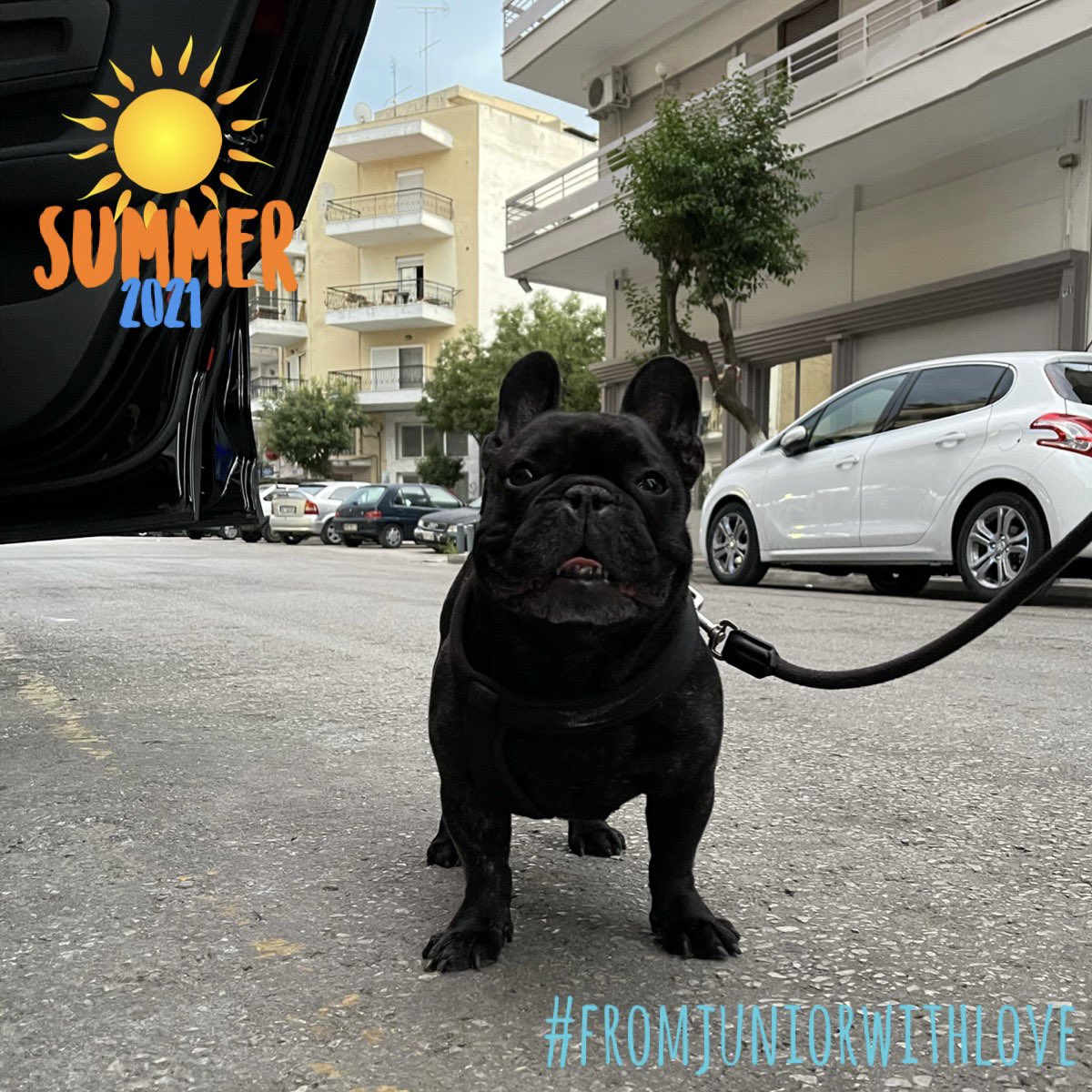 juniorwithlove's tweet photo. Summer Vacation 2021 has been completed ✅ I had such a great time! Much Love, Junior #fromjuniorwithlove #greece #thessaloniki #summervacation #summervacation2021 #summer2021 #beach #greekbeaches https://t.co/LOcnXPidfj
