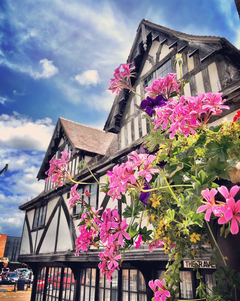 Lesley Sainty tweet media