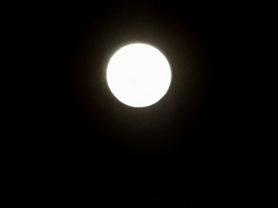 LaneHaddad's tweet image. Patience is not simply the ability to wait, it&apos;s how we behave while we&apos;re waiting. 
#patience #wait #learntowait #faith  #TrustGod #havefaith #ATTITUDE #phonephotography #photography #NaturePhotography #naturelover #nature #Mindset #Wisdom #moon #knowledge #Moonlight #night