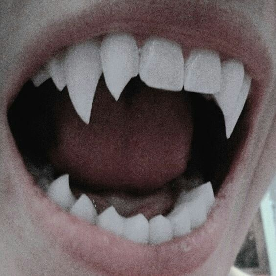 VampireLestatBr's tweet photo. » ———　♔　——— «
 ༺ " Lestat De Lioncourt"༻
⊱⋅ ────────────── ⋅⊰

❛ ”𝓛𝓲𝓯𝓮 𝓲𝓼 𝓪 𝓰𝓲𝓯𝓽. 𝓘𝓶𝓶𝓸𝓻𝓽𝓪𝓵𝓲𝓽𝔂 𝓲𝓼 𝓪 𝓹𝓻𝓮𝓬𝓲𝓸𝓾𝓼 𝓰𝓲𝓯𝓽.. . .❜.

༄ Anne R. #VC
༄ Dark themes
༄ Highly Descriptive
༄ Bi &amp; Lewd

♡ + ↻ is appreciated. https://t.co/IWQwCshPC0