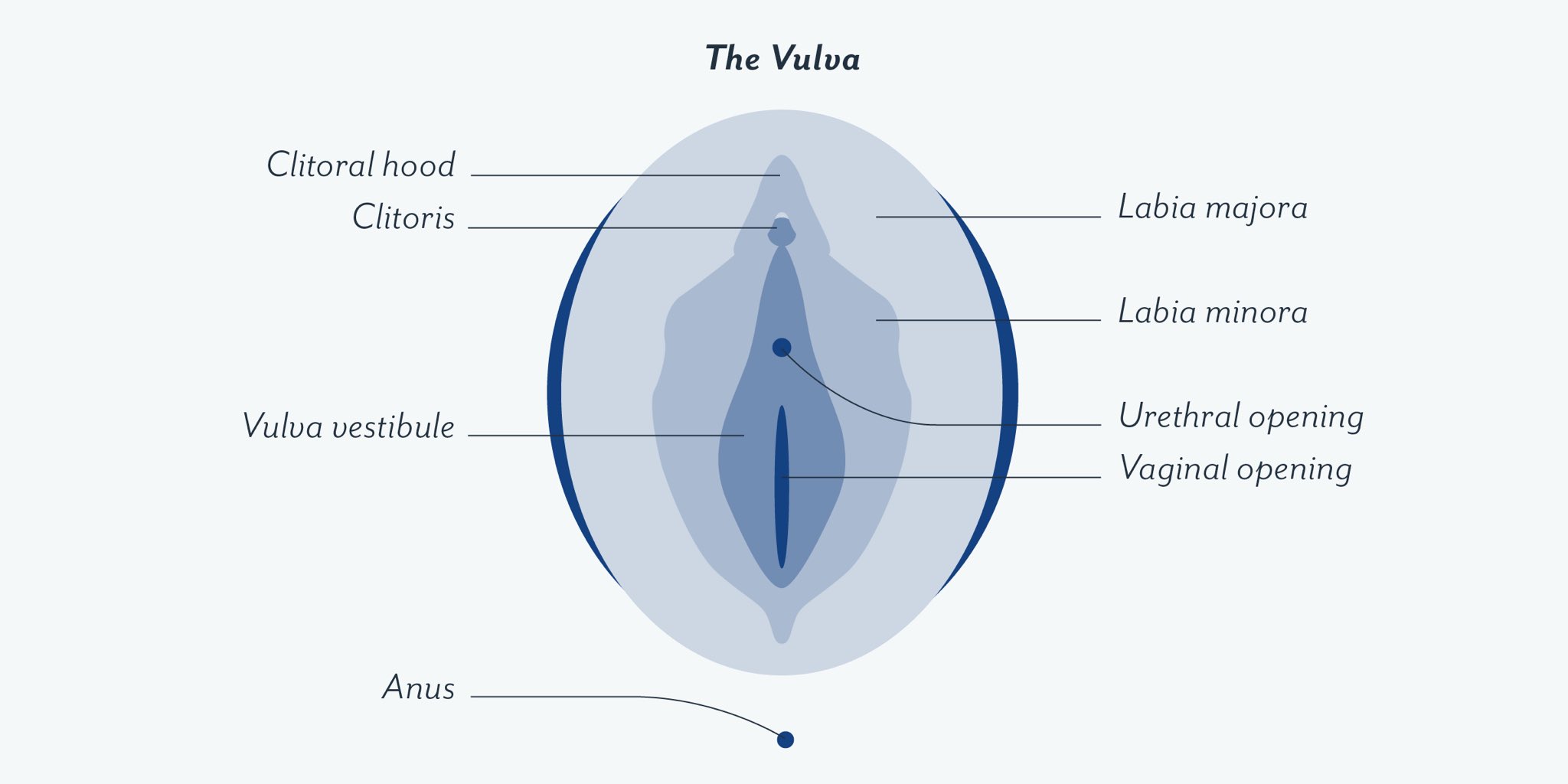 Vagina_care on Twitter: 