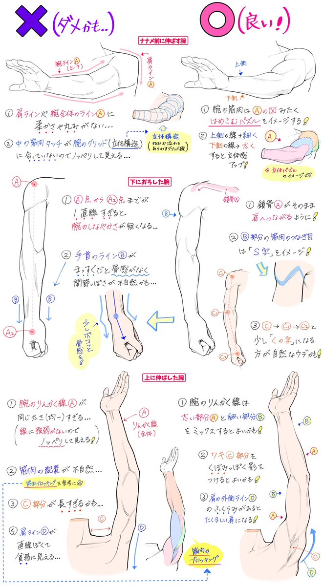 吉村拓也 イラスト講座 腕の構造と筋肉デッサンをする図解 T Co 0ig0d24azn Twitter