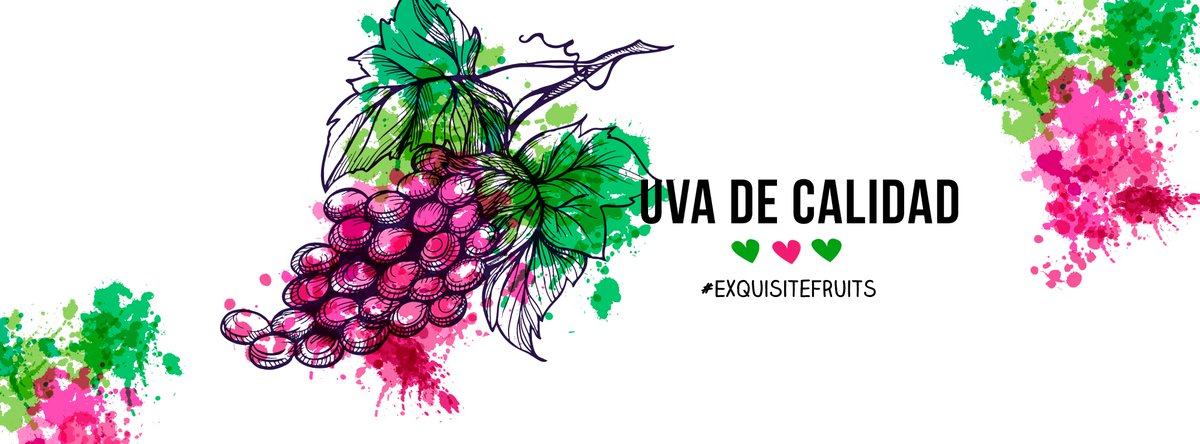 Comenzamos campaña de uva.
#ExquisiteFruits #Frutas #Productoresdefruta