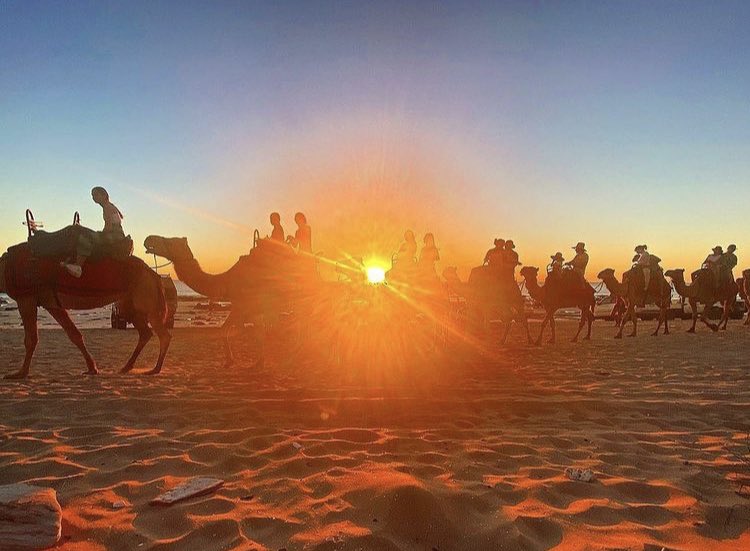 JaycoBendigo's tweet photo. Name a more perfect spot to watch the sunset. We'll wait. ππ
π Cable Beach, WA
πΈ : @barefoot_and_breastless
#jaycoaustralia #letsgojayco #camping #roadtrip #caravanning #adventures #australia #holidays #familytravel #familyadventure #potd #travelphoto #seeaustralia https://t.co/95N1RpL42h