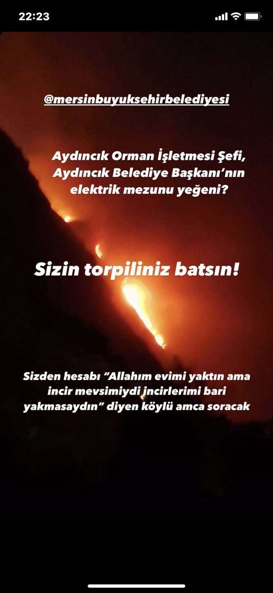 dilara tweet media