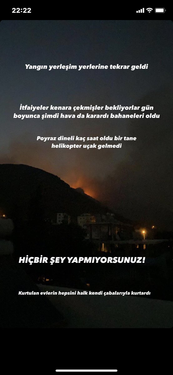 dilara tweet media
