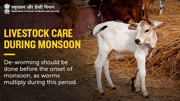 Uživatel Dept of Animal Husbandry & Dairying, Min of FAH&D na Twitteru: „Moisture in soil during #monsoon produces bacteria that can cause worm diseases in #animals and affect their productivity! #Farmers must Uživatel Dept of Animal Husbandry & Dairying, Min of FAH&D na Twitteru: „Moisture in soil during #monsoon produces bacteria that can cause worm diseases in #animals and affect their productivity! #Farmers must