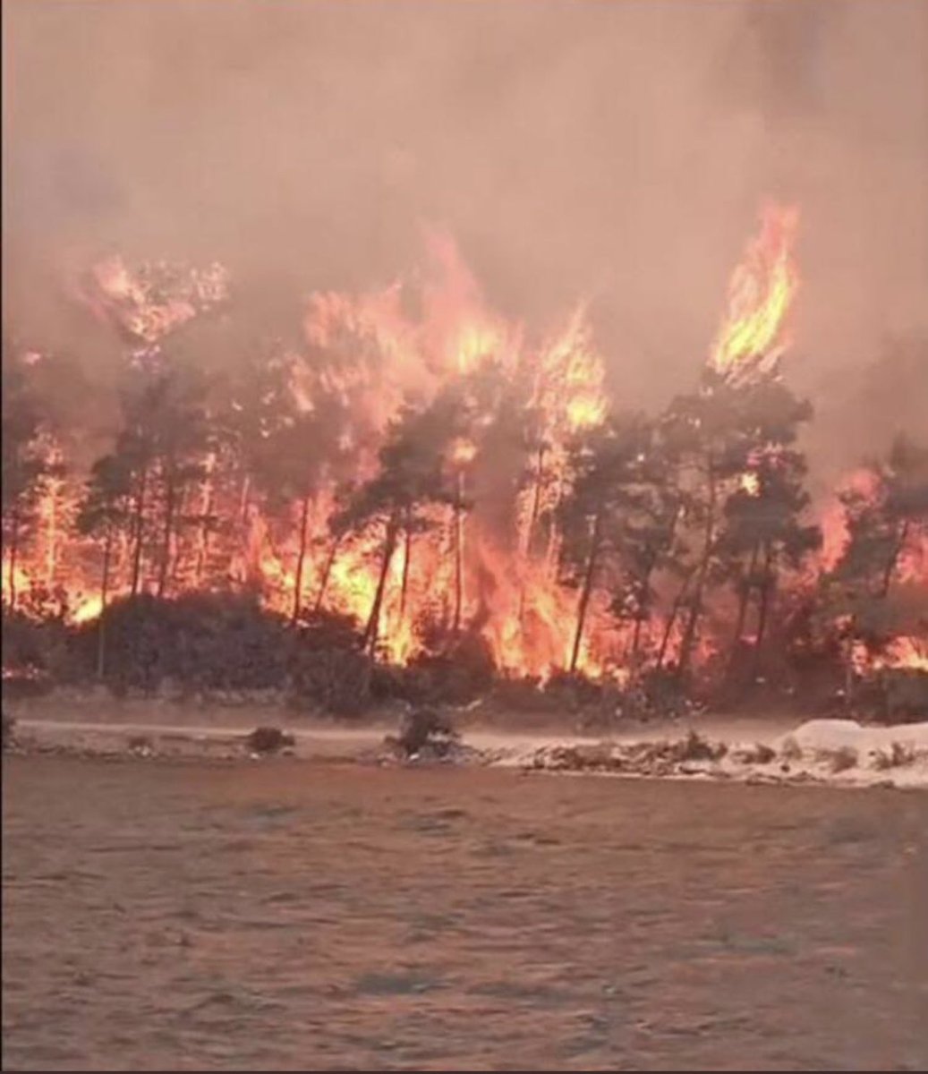 Utanmadan 3 tane uçağımız var.
Utanmadan yanan Doğamız Hayvanlarımız
İnsanlarımızın evleri, Hayatları, gelecekleri var 
Utanmadan yanmaya devam ediyor 

Duayla yağmur yağmadığı gibi, Yangın da sönmez, Uçak lazım Uçak.
#turkiyeyaniyor
