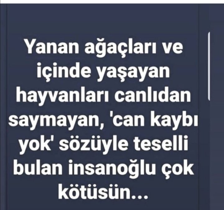 Şeyma1453 (@eyma14531) on Twitter photo 