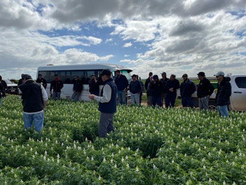 Delta Agribusiness WA (@deltaagwa) on Twitter photo Independent Rural Perenjori Crop Tour. Showcasing new chemistry against industry standards.
<a href="/SyngentaANZ/">Syngenta ANZ</a> <a href="/BASFAgro/">BASF Agricultural Solutions</a> <a href="/Bayer4Crops/">Bayer | Crop Science</a> <a href="/FMCANZ/">FMC ANZ</a> <a href="/CQCropProtect/">Conquest Crop Protection</a> <a href="/CSBP/">SBP</a> <a href="/NigelRoutledge/">Nigel Routledge</a> <a href="/cmwsynergy/">Chris Wilkins</a> <a href="/IndependentRur1/">Independent Rural</a>
#agriculture #agroadvantage #ausag #LocalsSupportingLocals #davidgraysaglink Independent Rural Perenjori Crop Tour. Showcasing new chemistry against industry standards.
<a href="/SyngentaANZ/">Syngenta ANZ</a> <a href="/BASFAgro/">BASF Agricultural Solutions</a> <a href="/Bayer4Crops/">Bayer | Crop Science</a> <a href="/FMCANZ/">FMC ANZ</a> <a href="/CQCropProtect/">Conquest Crop Protection</a> <a href="/CSBP/">SBP</a> <a href="/NigelRoutledge/">Nigel Routledge</a> <a href="/cmwsynergy/">Chris Wilkins</a> <a href="/IndependentRur1/">Independent Rural</a>
#agriculture #agroadvantage #ausag #LocalsSupportingLocals #davidgraysaglink