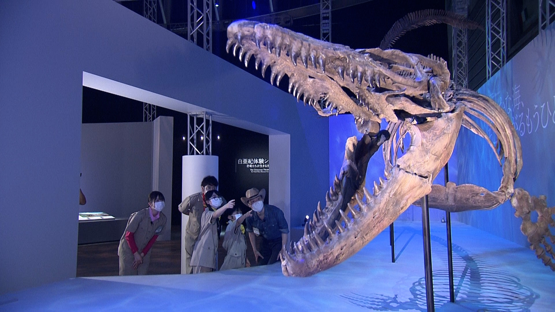 公式 Dinoscience 恐竜科学博 ８ 1 日 ひる11時より放送予定 Bs Tbs 奇跡の化石 日本初上陸 Dinoscience 恐竜科学博を徹底解剖sp 隊長のココリコ田中さん 副隊長の日向坂46 丹生明里さん率いる冒険隊が 本展を徹底解剖 本展企画 監修の