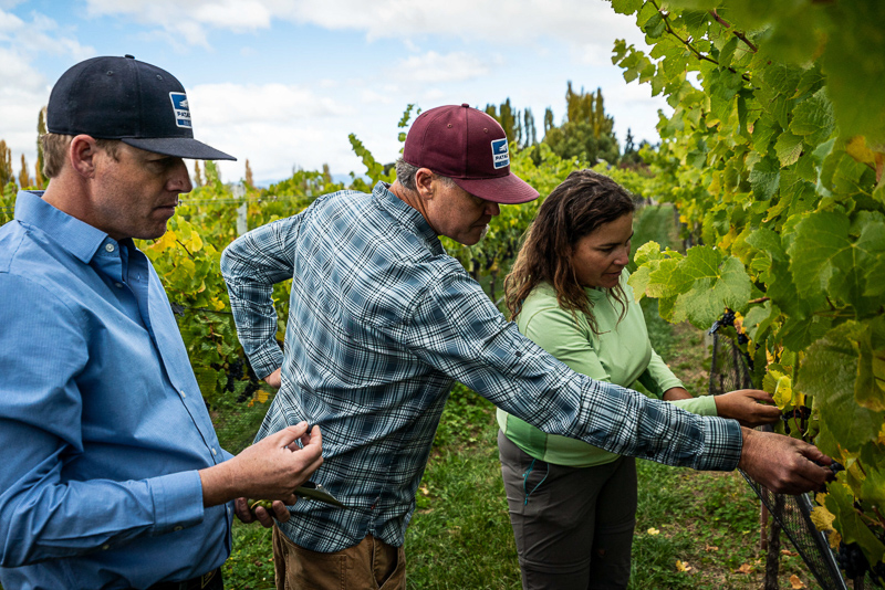 Jamie Goode tweet media