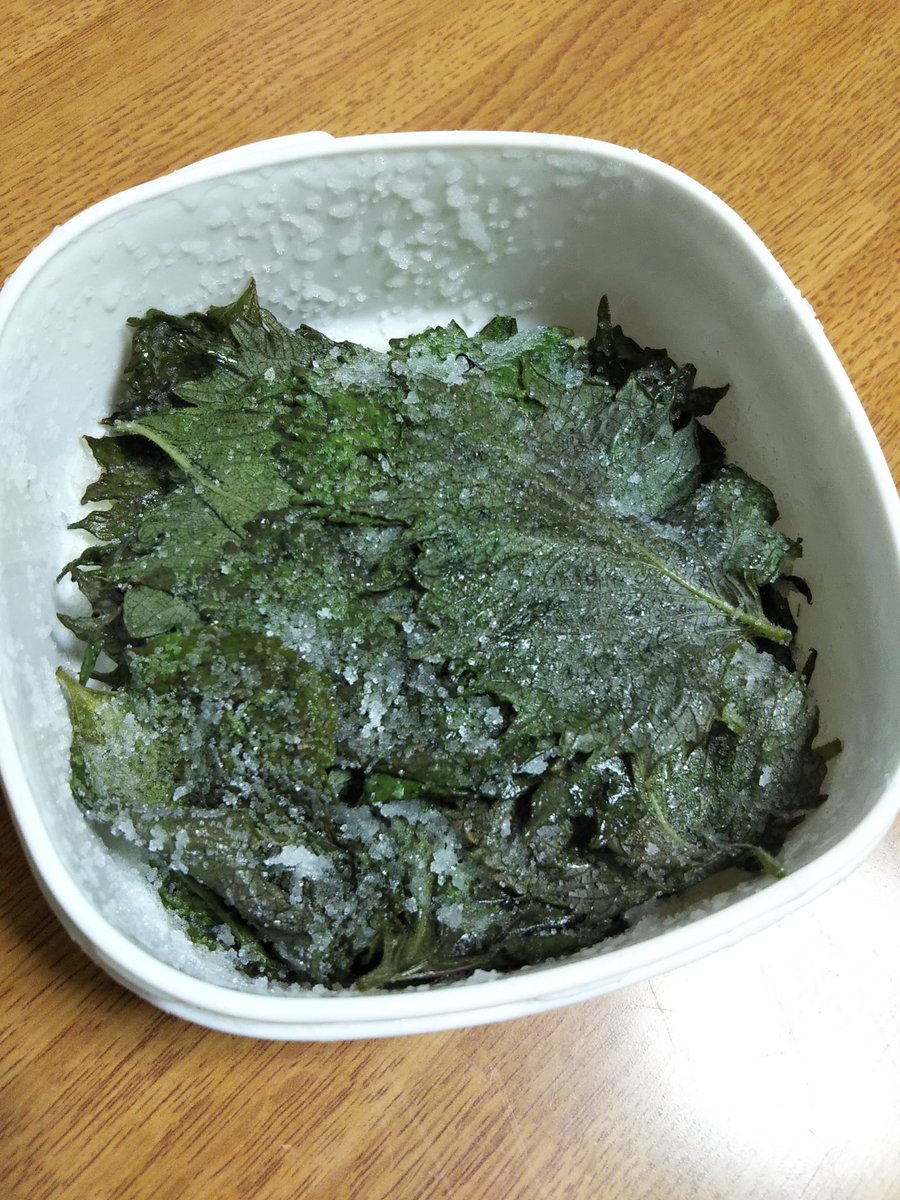 ミキティ 夏野菜の料理大好き 大葉 シソ 沢山余った と言う人に そうめんに 茄子の味噌炒めに ゆうがおの炒め物に他 最後は 塩漬けにするといいですよ おにぎり の海苔として食べると美味しい Q よ 塩漬けしてるのでおにぎり は塩無しでね ミキティ 夏野菜の料理大好き 大葉 シソ 沢山余った と言う人に そうめんに 茄子の味噌炒めに ゆうがおの炒め物に他 最後は 塩漬けにするといいですよ おにぎり の海苔として食べると美味しい Q よ 塩漬けしてるのでおにぎり は塩無しでね