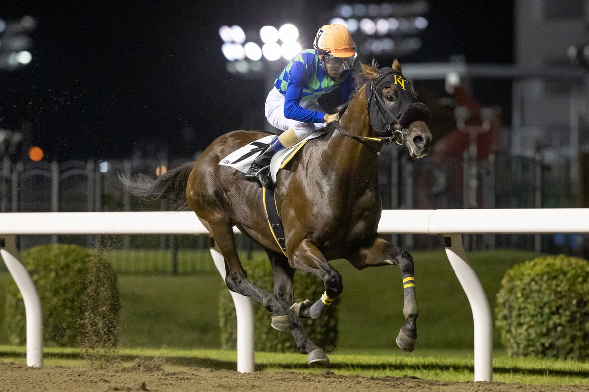 共有馬フェルヴィド2連勝。
金沢→川崎と渡り歩いて通算10勝目。骨折＆繋靱帯炎からのスタートでしたが金沢前の立ち上げと、川崎移籍後の休養で守谷さんのお世話になっています。脚元も以前に比べ良くなって気持ちも入って来ています。南関東でも軌道に乗ったと言って良い状態まで来てくれました。 