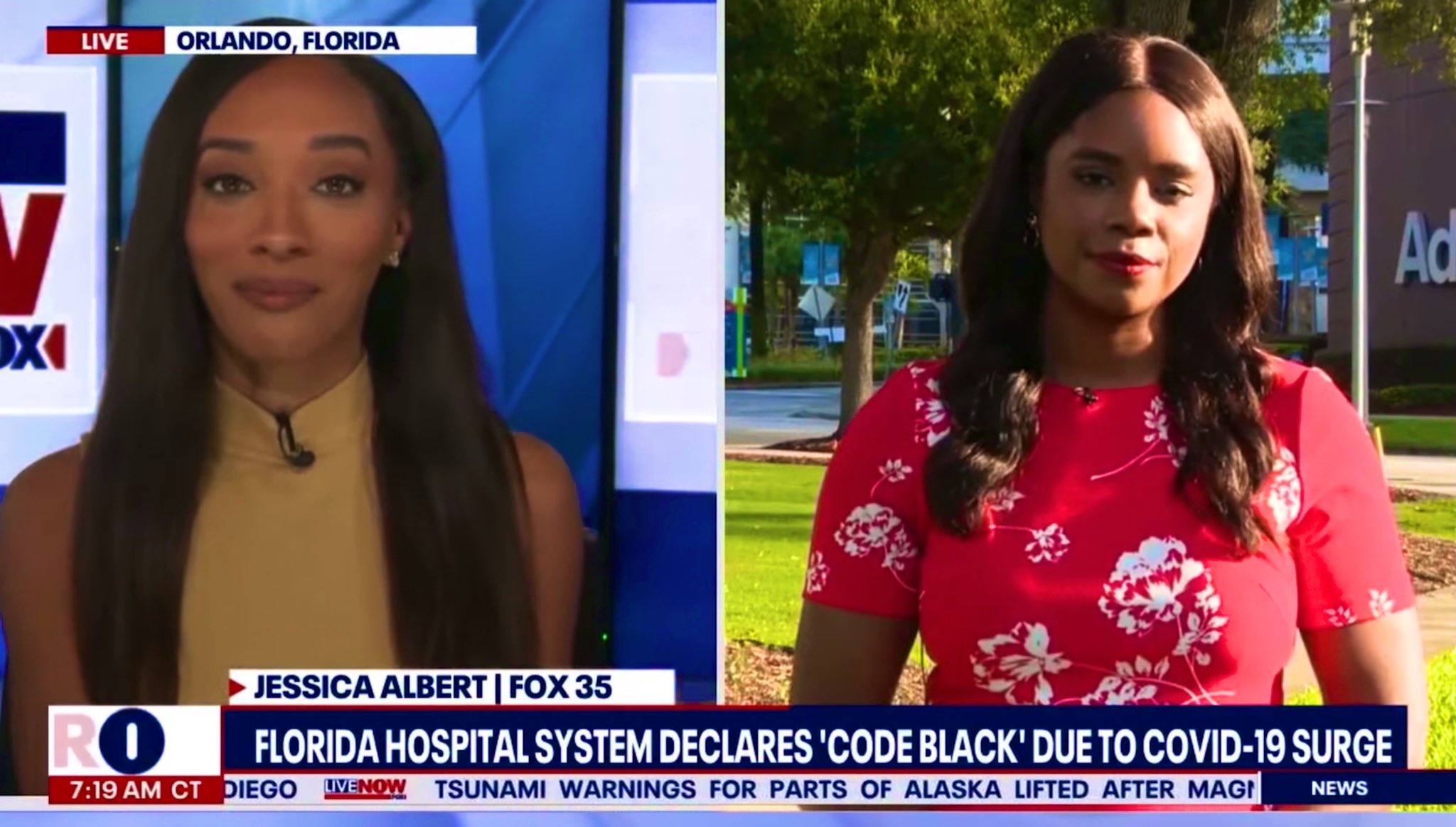 Jessica Albert on Twitter: 