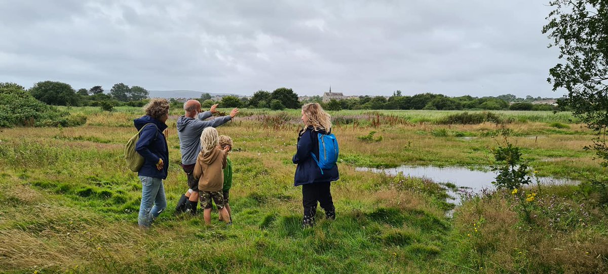 Here be dragonflies! Nice to be back introducing real life people to real life #wildlife &amp; #habitat (no thanks to #StormEvert) at this morning's #ecology workshop &amp; pop-up #nature #micromuseum in <a href="/SandownBay/">Sandown Bay</a>. Supporting #arts charity @IndependentArts - book there for tomorrow!