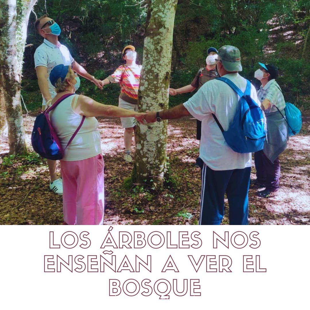 Aspodemi's tweet photo. En una de nuestras salidas hemos disfrutado de la naturaleza y hemos aprendido todo lo que nos árboles nos indican sobre el entorno en el que habitan. 
#discapacidadintelectual #verano2021 #aprendiendocosasnuevas #naturaleza #descubriendolugares https://t.co/EiOkxPwoSM