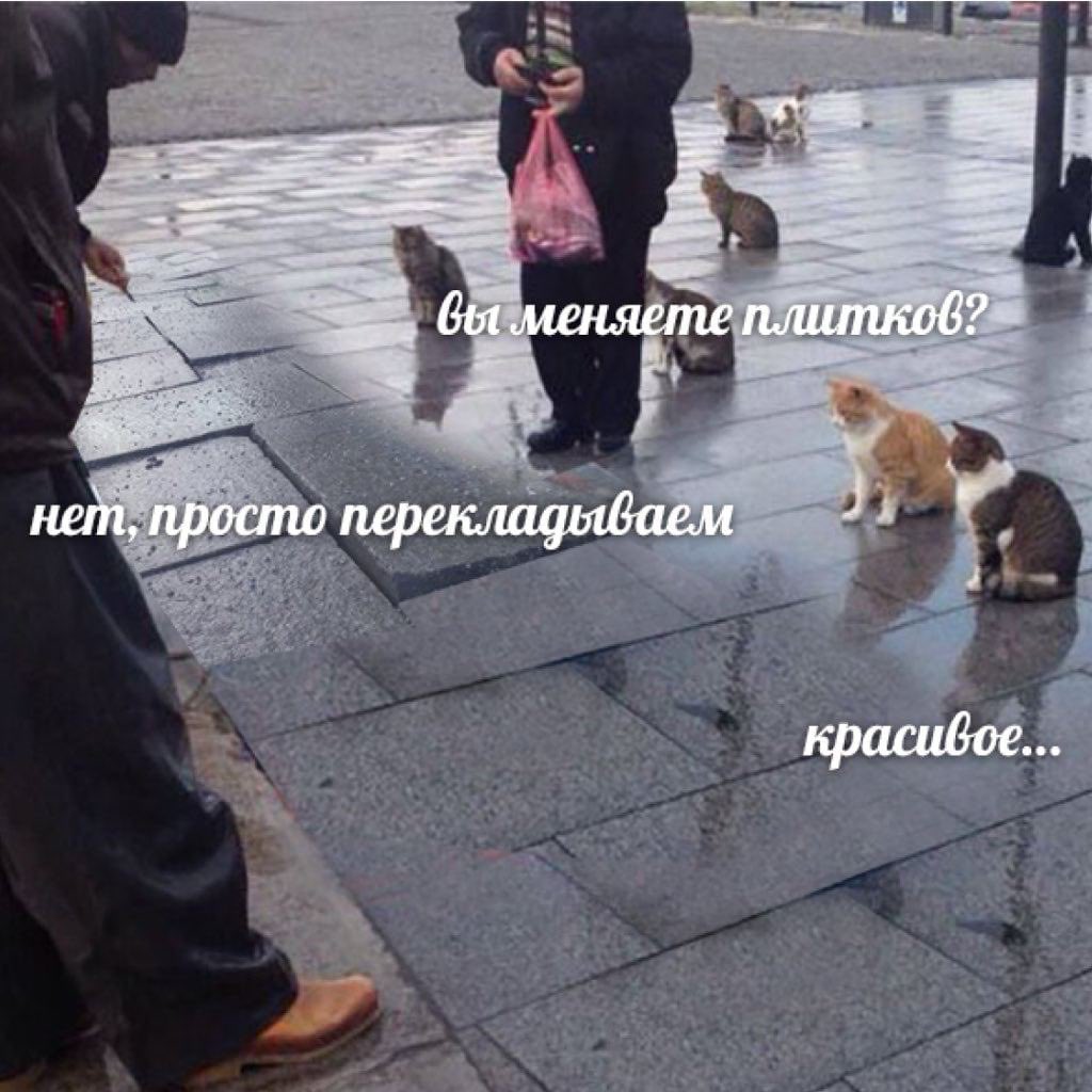 Архитектурные излишества (@arkhlikbez) on Twitter photo 