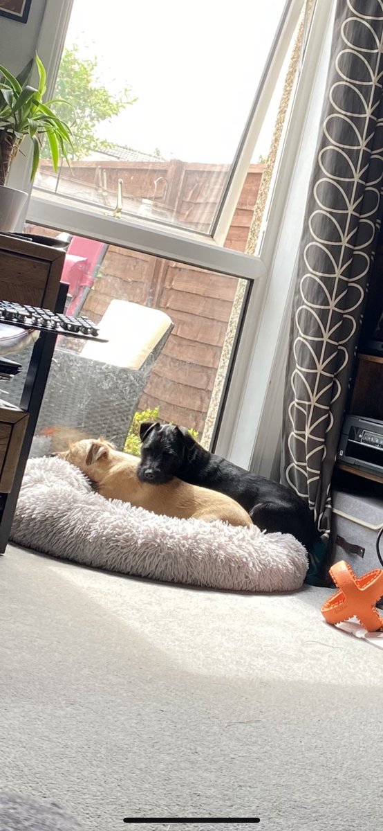 #InternationalFriendshipDay 🧡🖤