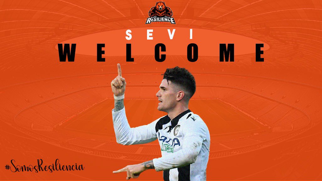 DesignerPollito's tweet image. WLCM 🐻